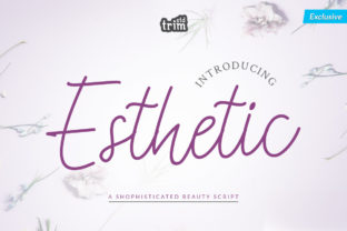 Esthetic: A Handwritten Script for Romantic Design Projects