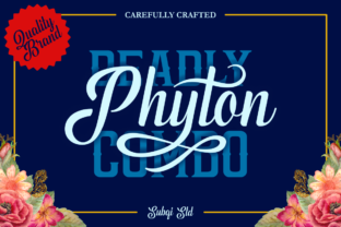 Phyton: The Font That Bridges Vintage Charm and Modern Edge